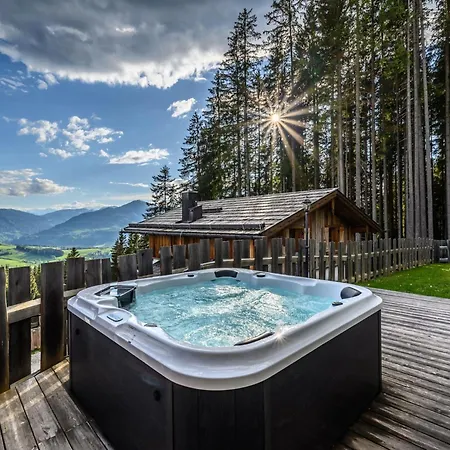 Schnee Eule-7 By Interhome Hotel Pfarrwerfen
